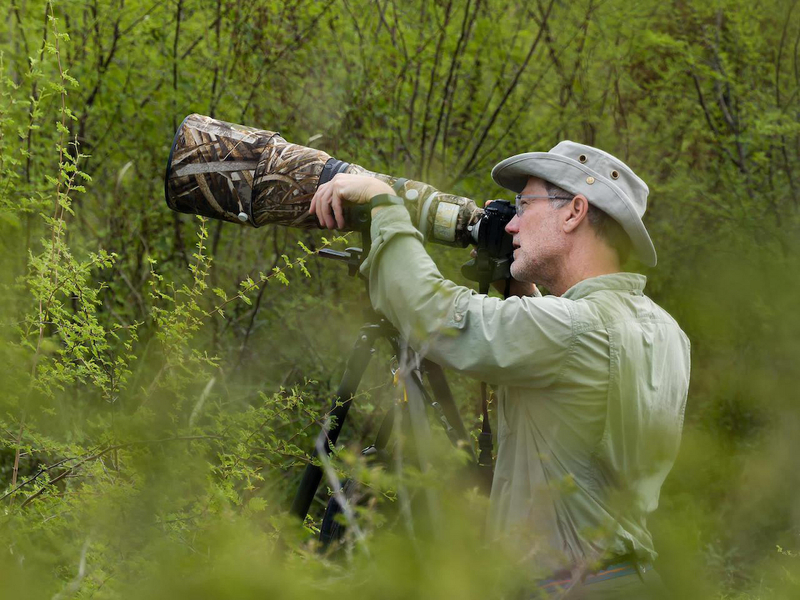 Drumbeat of the forest: Woodpeckers alter habitat for the benefit of many critters