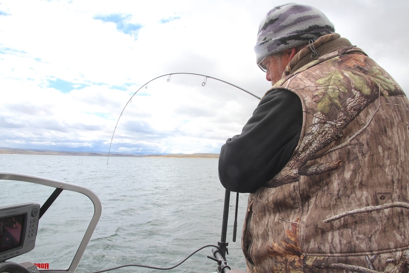 Wyoming, Utah OK’d unlimited lake trout fishing to save Flaming Gorge kokanee, but will anglers help?