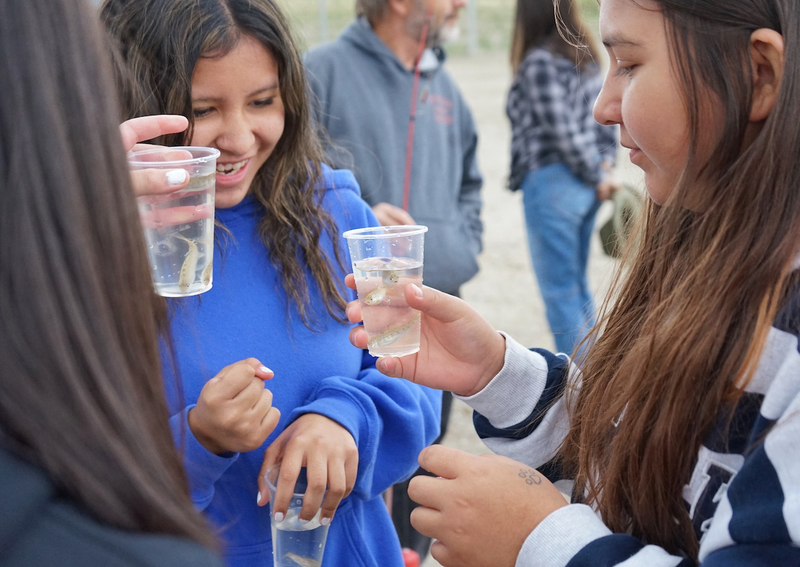 Tribal students in central Wyoming release small fish in a big pond