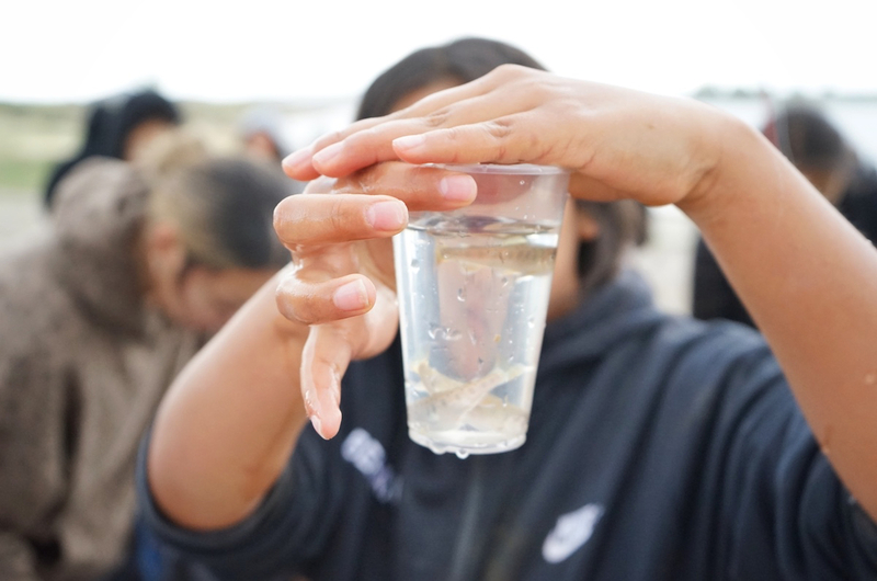 Tribal students in central Wyoming release small fish in a big pond