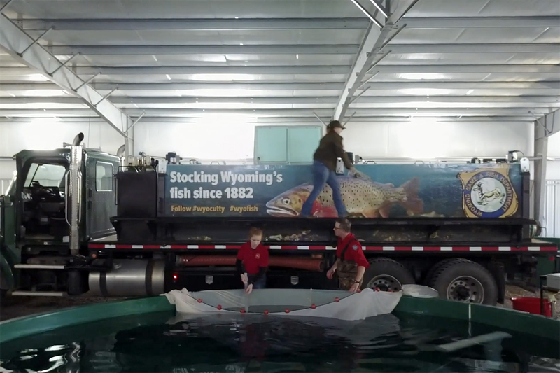 Wyoming Game and Fish Commission approves $21M fish hatchery expansion