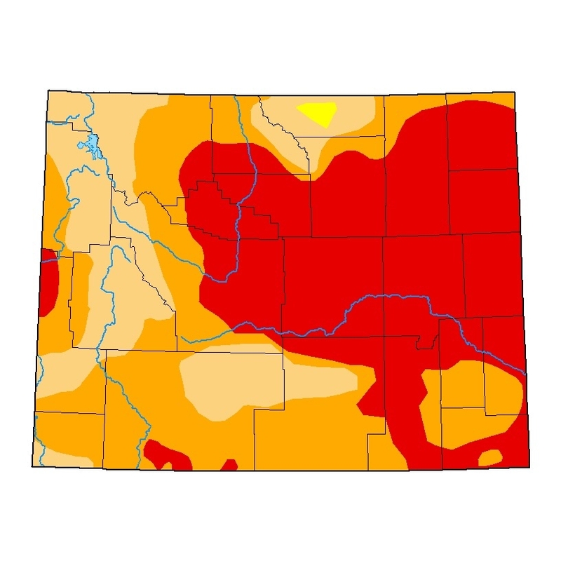 ‘Extreme drought,’ record-breaking heat confront Wyoming ranchers with difficult choices