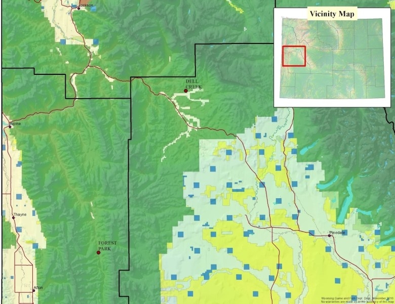 Summer elk deaths stoke CWD worries at onset of ‘important’ winter for western Wyoming herds