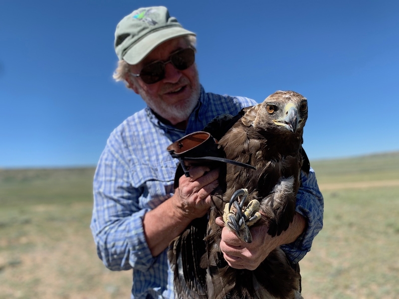 Opponents sue to stop Rail Tie wind project, alleging unacceptable eagle mortality