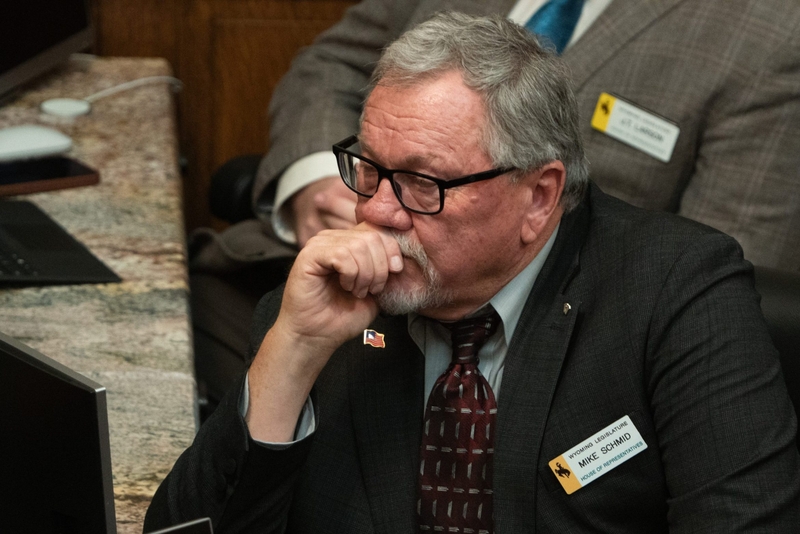 Felony animal cruelty probe still ‘active’ one year after Wyoming wolf’s torture, prosecutor says