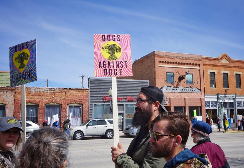 Dogs against DOGE: Wyoming canines join protest crowds