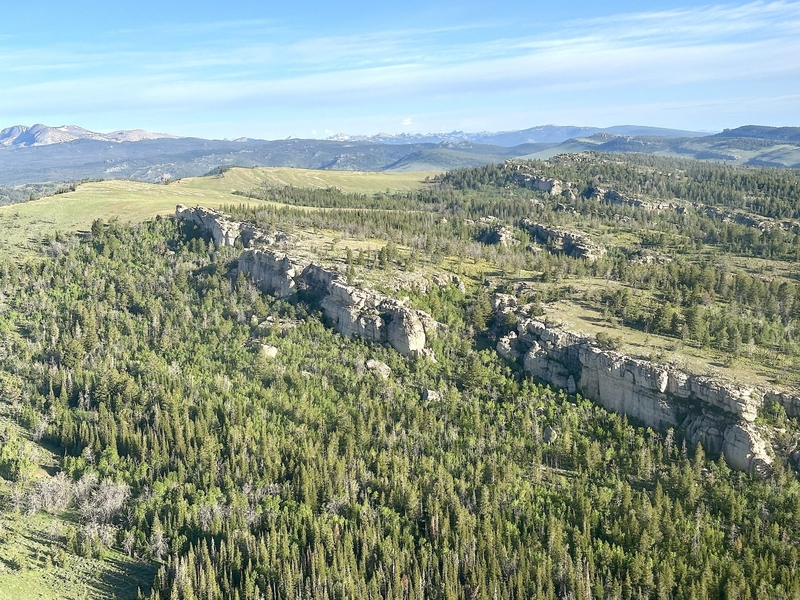 After national parks hearing, MAGA forces continue public land assault, greens say