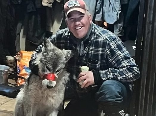 Cody Roberts case proceeds as judge rules wolf’s treatment not covered by predator exemption