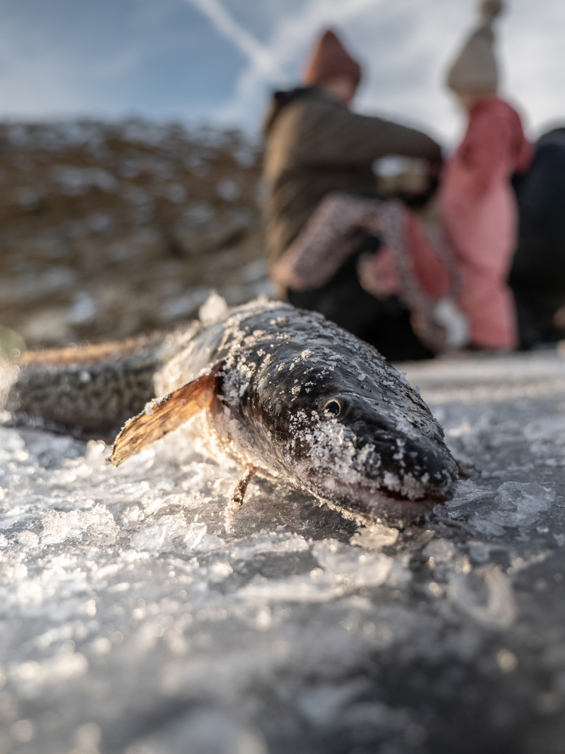 ‘Snow drought’ may result in extra release from Flaming Gorge