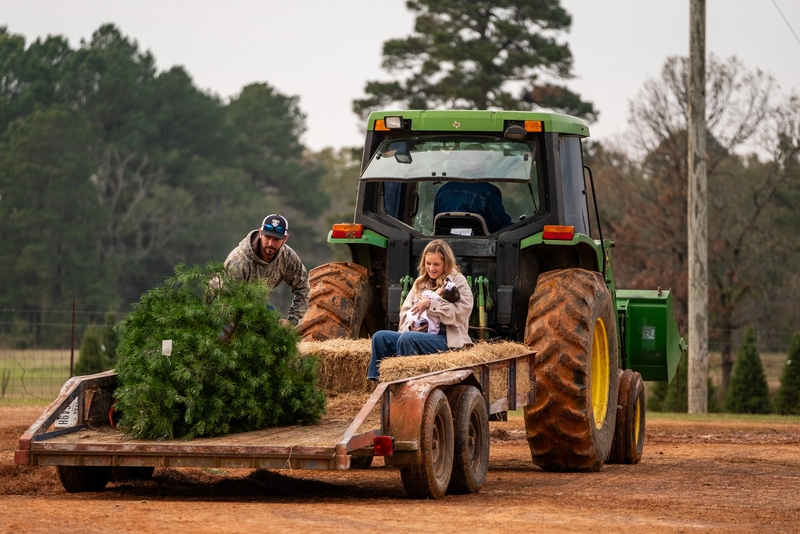 Dillon Linson, his wife Lauren and their 9-week-old daughter Ella spend their afternoon at Danville Farms picking out and cutting down their family Christmas tree, on Friday December 5, 2025, in Kilgore.