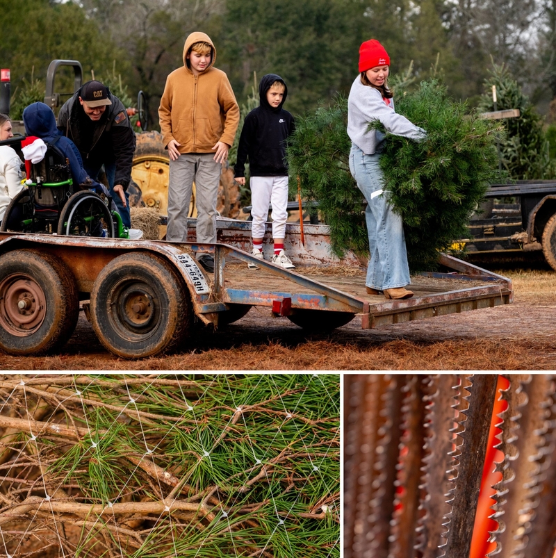Last Christmas: An East Texas Christmas tree farm closes after 40 years, despite booming sales