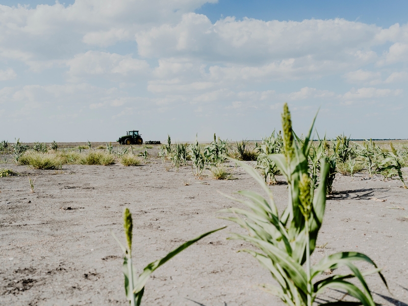 After killing planned desalination plant, Corpus Christi tries to drill its way out of a water crisis