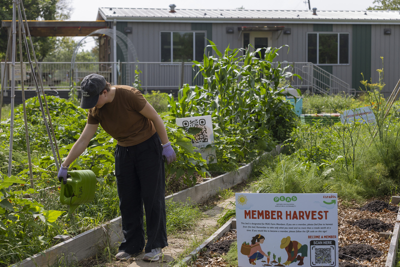 Volunteer Alexa Libro waters a garden bed at the Cunningham Elementary school garden on April 27, 2026.