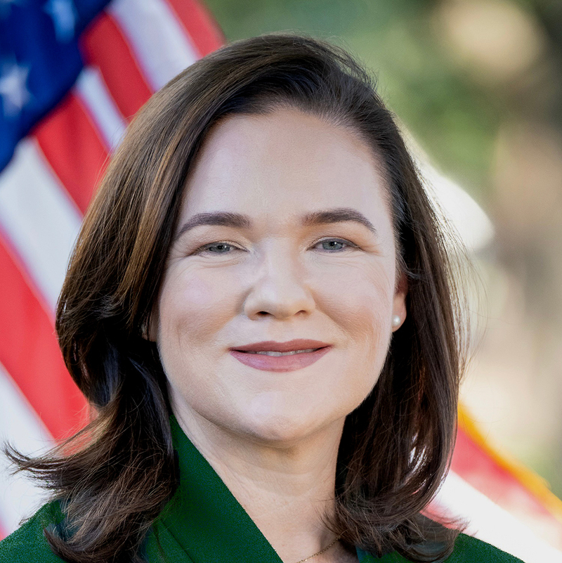 Texas congressional races 2026: Who is running and what to know about key U.S. House seats