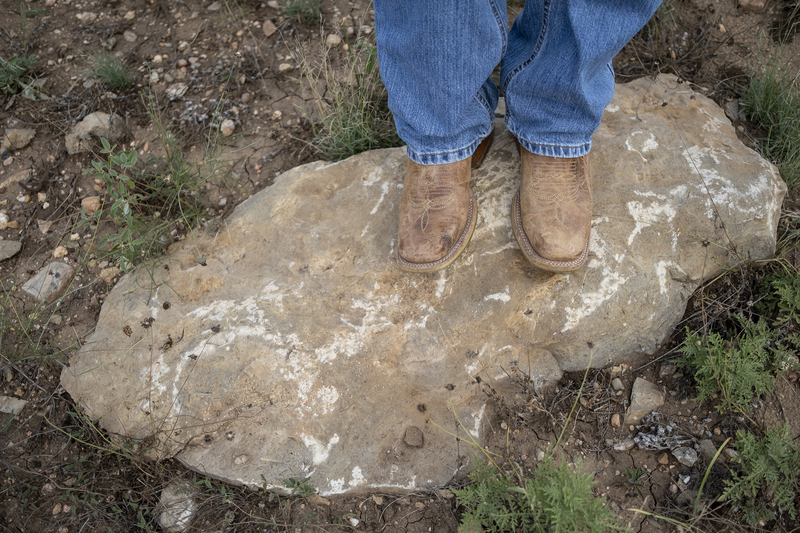 Tensions with landowners rise as a raft of gas pipelines push through Texas properties