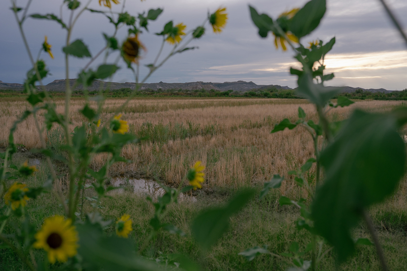 In far West Texas, the threat of land seizures for a border wall has families on edge