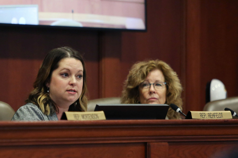 Rep. Taylor Rehfeldt, R-Sioux Falls, speaks during a House State Affairs Committee meeting on Feb. 7, 2024. (Makenzie Huber/South Dakota Searchlight)