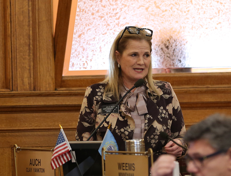 Rep. Julie Auch, R-Lesterville, speaks on the floor of the South Dakota House in February 2025 at the Capitol in Pierre. (Photo by John Hult/South Dakota Searchlight)