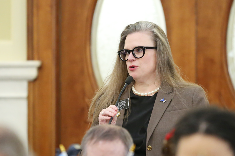 State Sen. Liz Larson, D-Sioux Falls, speaks in the South Dakota Senate on March 6, 2025, at the Capitol in Pierre. (Photo by Makenzie Huber/South Dakota Searchlight)