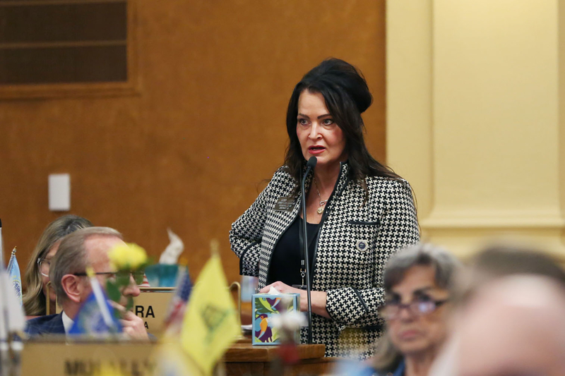 Rep. Bobbi Andera, R-Sioux Falls, speaks on the House floor on Feb. 9, 2026. (Photo by Makenzie Huber/South Dakota Searchlight)