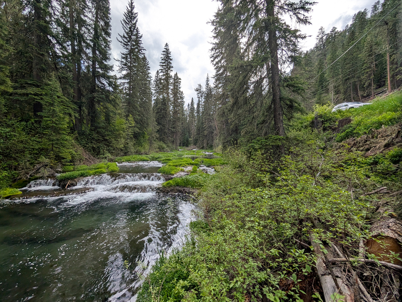 Spearfish Creek flows alongside U.S. 85 in the Black Hills. (Courtesy of Paul Horsted)