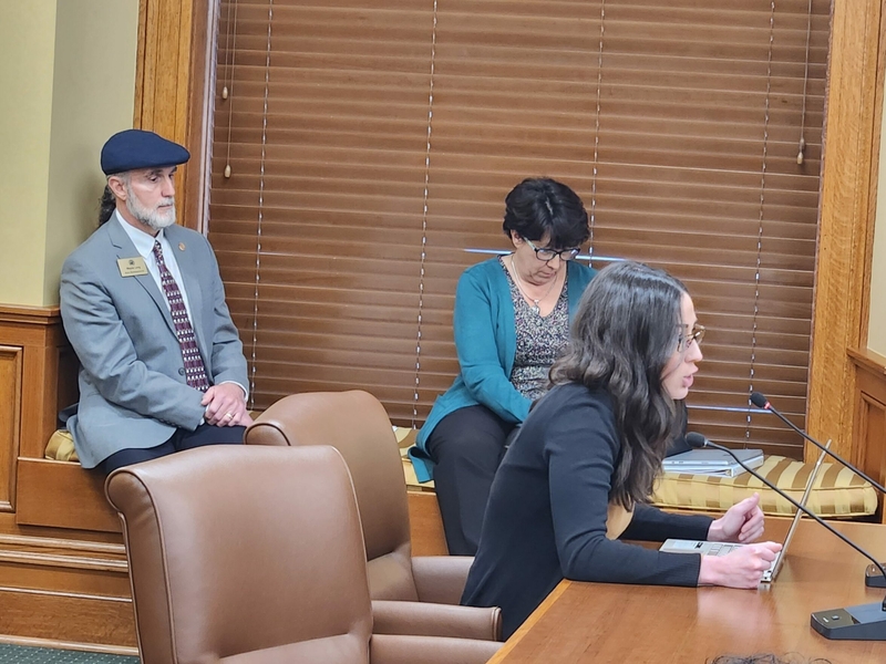 Arkansas panel approves proposed ban on school employees using transgender individuals’ pronouns