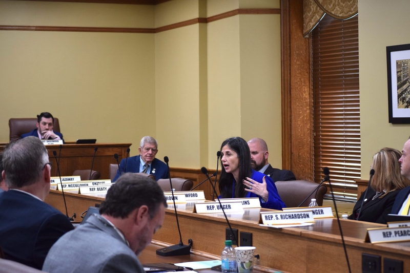 Rep. Nicole Clowney, D-Fayetteville, tells her colleagues on the House Judiciary Committee why she's voting against a bill to allow nitrogen gas executions