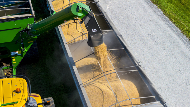 Soybean harvest by the Hugo Family Farm, near Mahomet, Illinois
