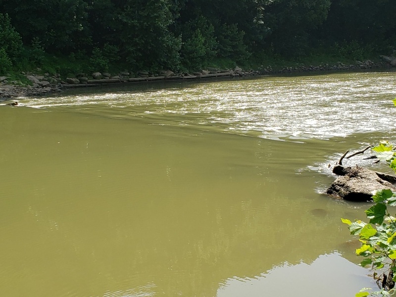 A few streams are freed from low head dams but many more remain in Kentucky
