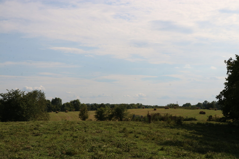 A pasture with bales of hay.