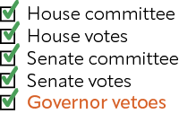 Beshear vetoes bill opting KY into K-12 scholarships supported by new US tax credit