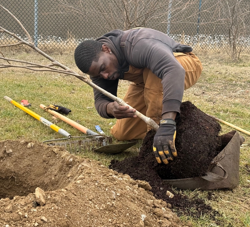 Helping trees — and Louisville — outrace climate change