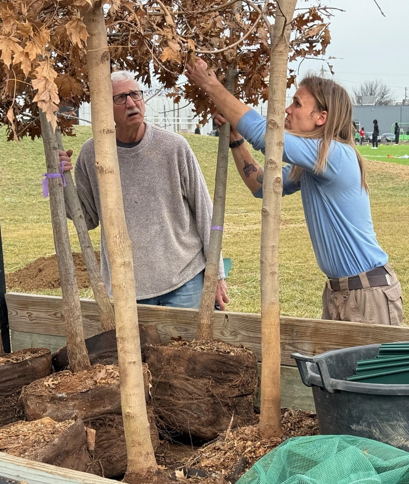 Helping trees — and Louisville — outrace climate change