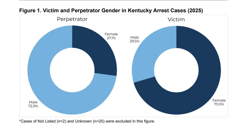 At least 25 homicides in Kentucky’s annual domestic violence report for 2025