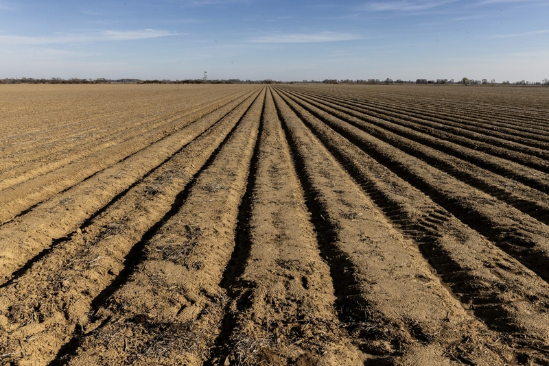 In this shrinking Mississippi Delta county, getting a college degree means leaving home behind