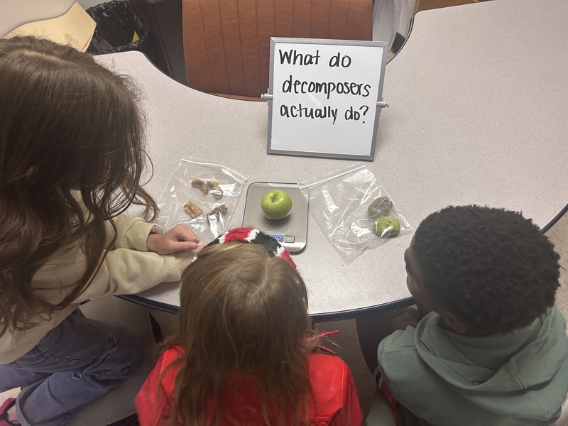 Teachers’ unusual classroom supplies expose another ClassWallet snag
