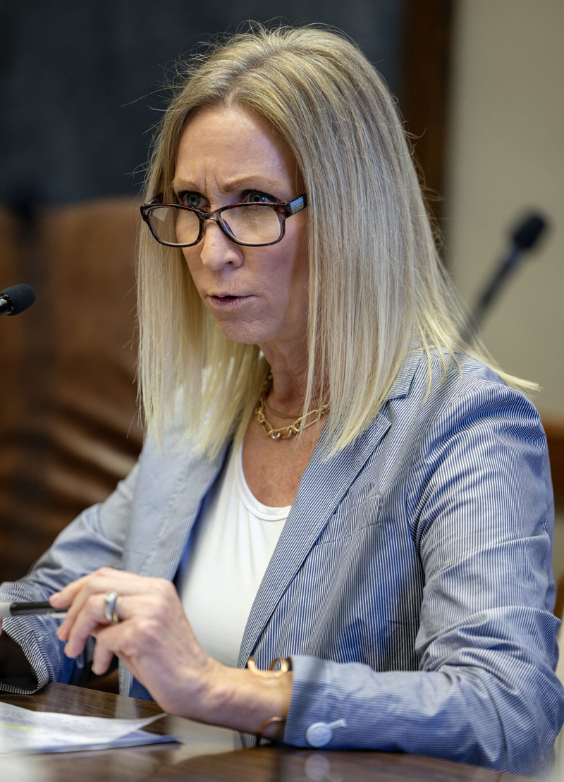 Department of Mental Health asks for more oversight for others and less for itself