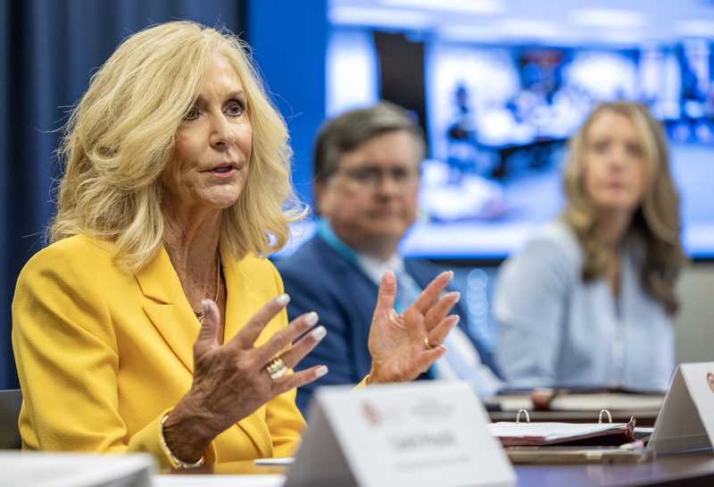 Legislature seeks to sidestep advisory council in spending opioid settlement funds
