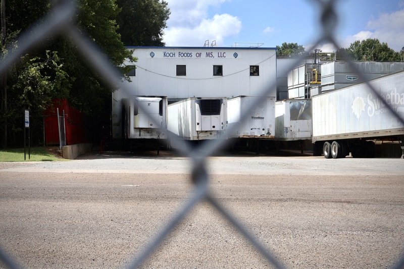 ‘I didn’t have a voice’: Mississippi poultry industry’s use and alleged abuse of immigrant workers