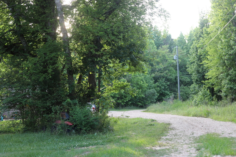 One Night in Mhoon Valley