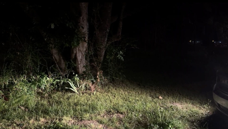 One Night in Mhoon Valley