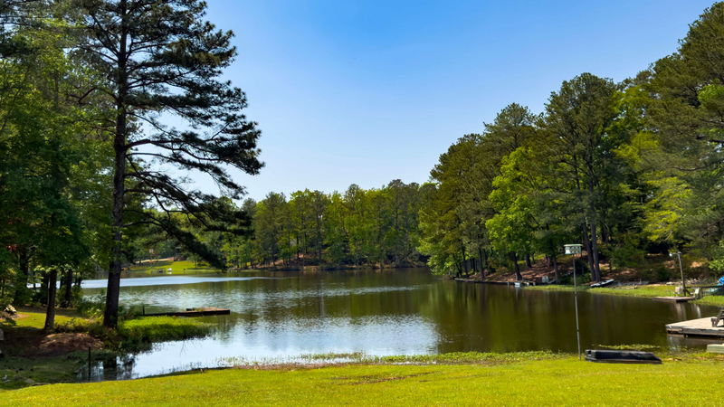 A lake bordered by trees