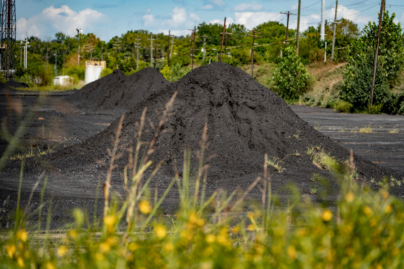 Two piles of black coal surrounded by overgrown trees and plants in a former industrial facility.