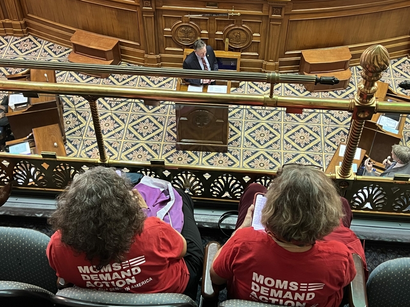 SC Senate approves permit-less carry with a training incentive twist