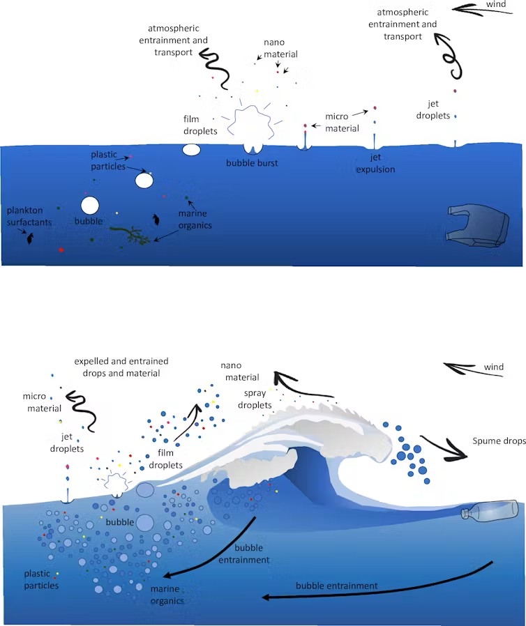 Microplastic pollution is everywhere, even in the exhaled breath of dolphins