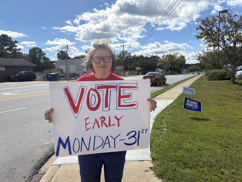 At smaller No Kings event, participants stress importance of voting