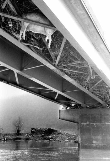 Rising waters, rising risks: How climate change, aging infrastructure are affecting flood risk in WV