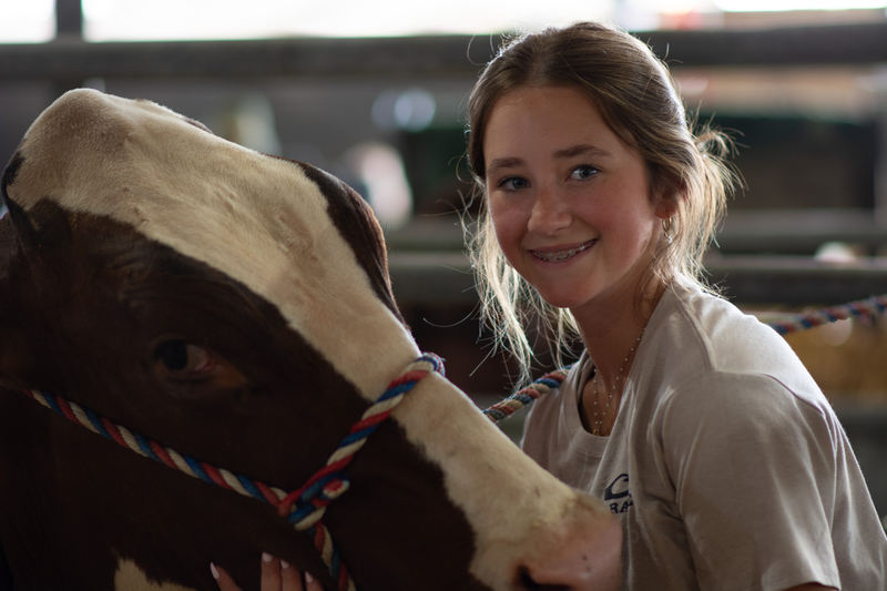 At the Delaware State Fair, young farmers showcase their cattle-log&nbsp;