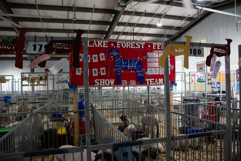 At the Delaware State Fair, young farmers showcase their cattle-log&nbsp;