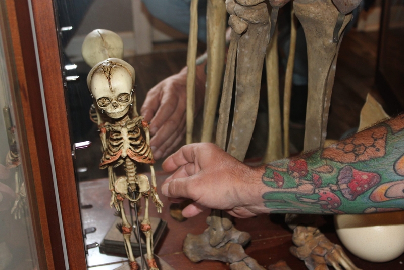 Smyrna couple ‘rescues’ human skeletons, hopes to build a church lined with bones